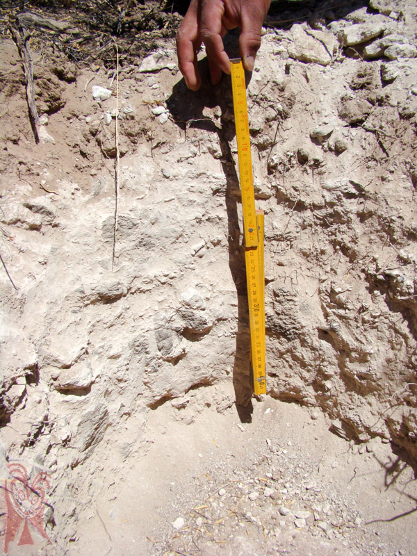 Niveles calcáreos en abanicos aluviales antiguos (Cumbres Calchaquíes)