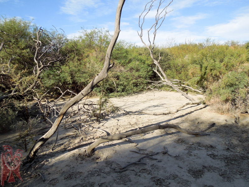 Crevasse splay (Río Santa María)