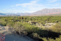 Cono antiguo próximo a la confluencia entre río Calchaquí y Santa María
