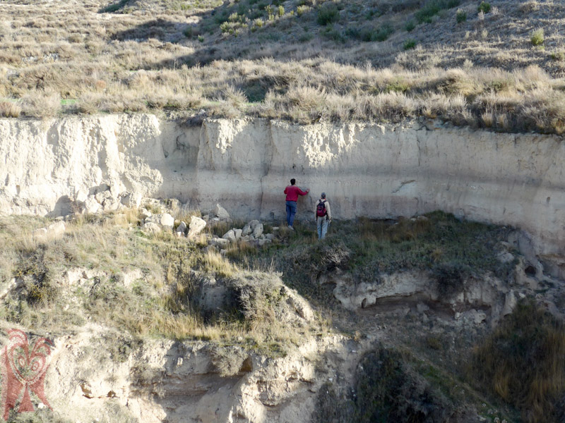 Rellenos holocenos en la Val de la Poza (Botorrita, valle del Huerva)