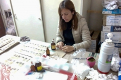 Preparando microfósiles