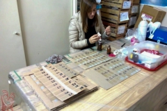 Preparando microfósiles