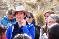 Docencia en Tafí - Curso Internacional de Campo 2016