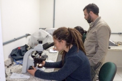 Identificación de material vegetal