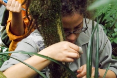 Muestreo de material vegetal
