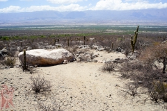 Estructuras arqueológicas en Talapazo (Sierra de Quilmes)